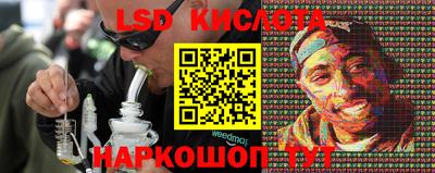 a pvp Можга